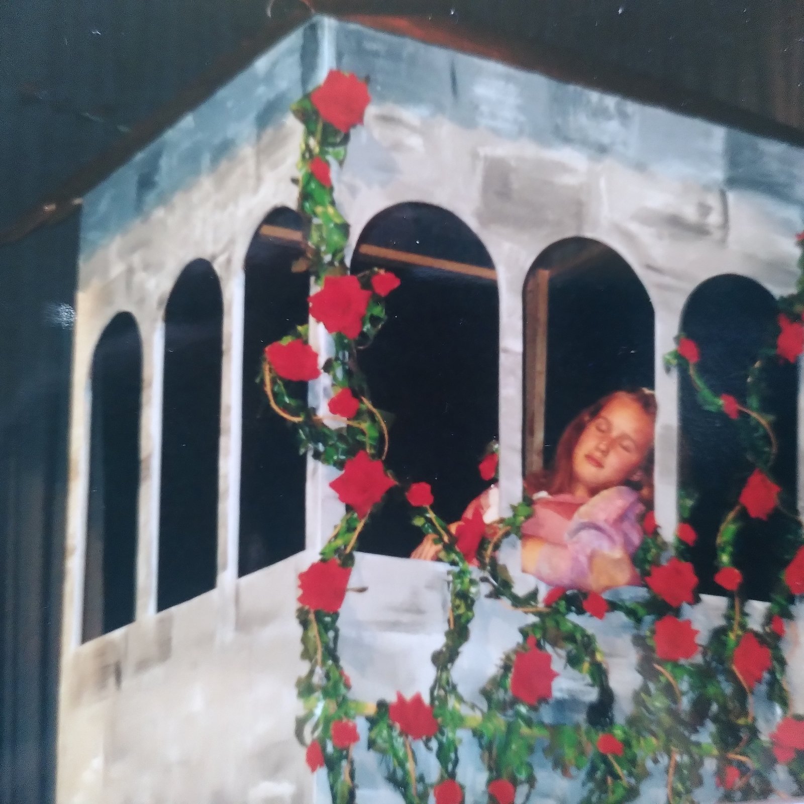 Dornröschen im Turm